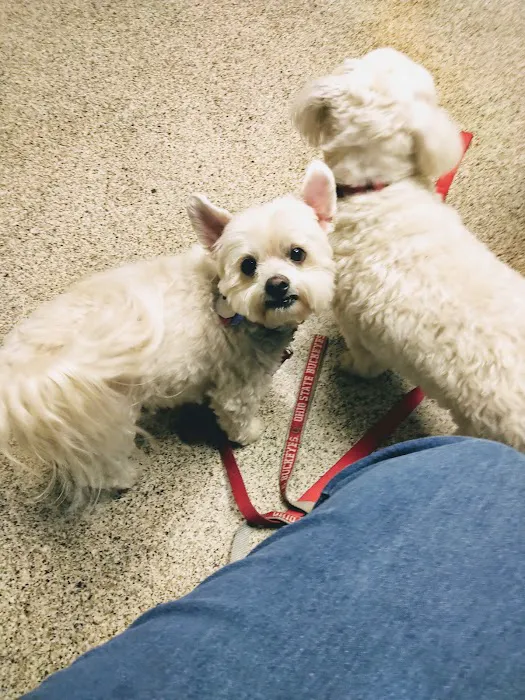 Northridge Animal Clinic 12
