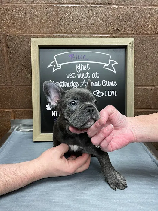 Northridge Animal Clinic 12