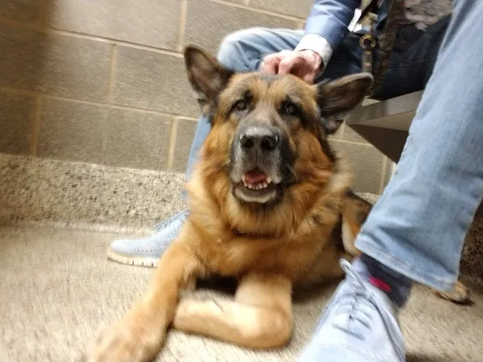 Northridge Animal Clinic 12