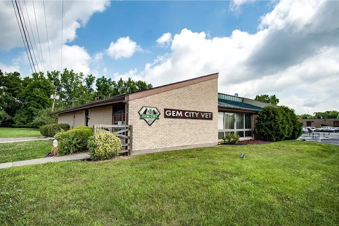 Gem City Vet 12