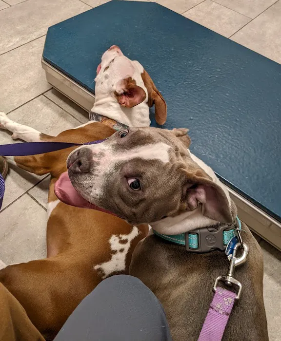 North Main Animal Clinic 12