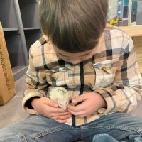 K-BAM FARMS PET STORE UNION SC ico