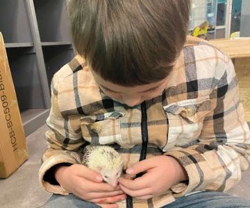 K-BAM FARMS PET STORE UNION SC