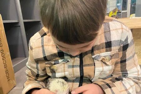 K-BAM FARMS PET STORE UNION SC