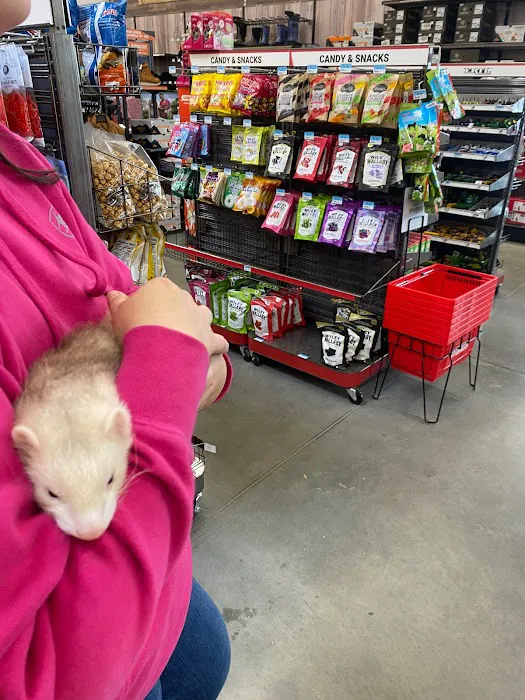 K-BAM FARMS PET STORE UNION SC 12