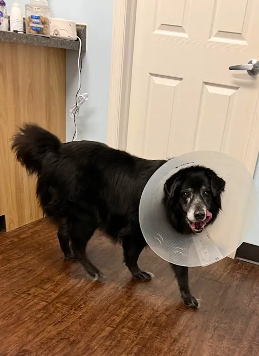 Bailey Animal Clinic, Inc. 12