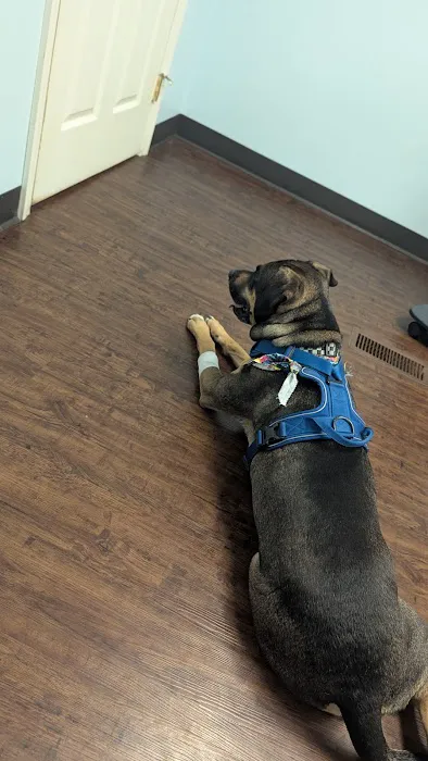 Bailey Animal Clinic, Inc. 12