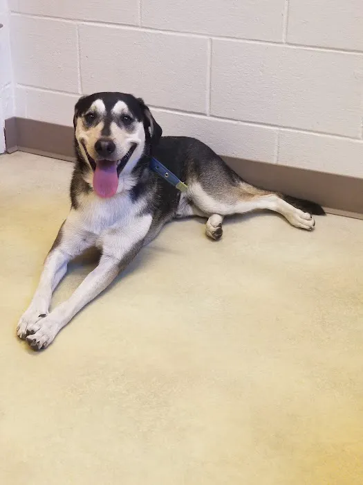 Huber Heights Animal Hospital 12