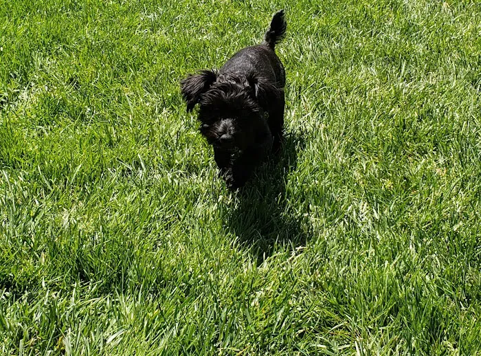 Huber Heights Animal Hospital 12