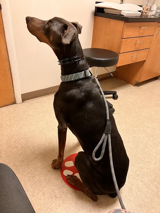 Huber Heights Animal Hospital 12