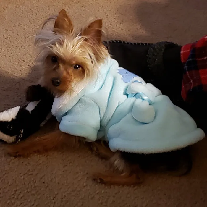 Huber Heights Animal Hospital 12