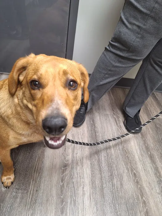 Enon Veterinary Hospital 12