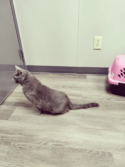Enon Veterinary Hospital 12