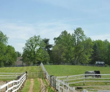 Good Thunder Veterinary Services