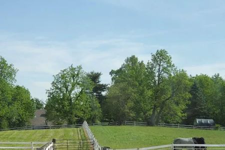 Good Thunder Veterinary Services