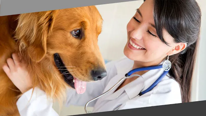Upper Heights Veterinary Clinic 12