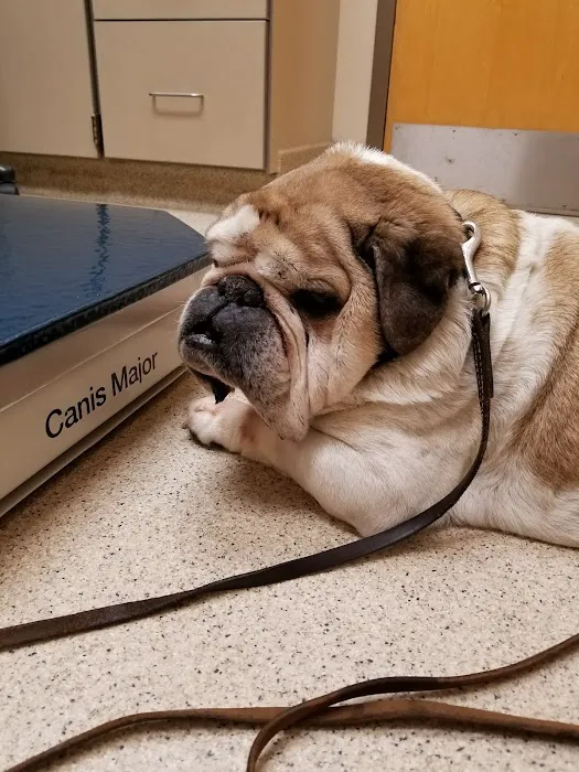 Northgate Animal Hospital 7
