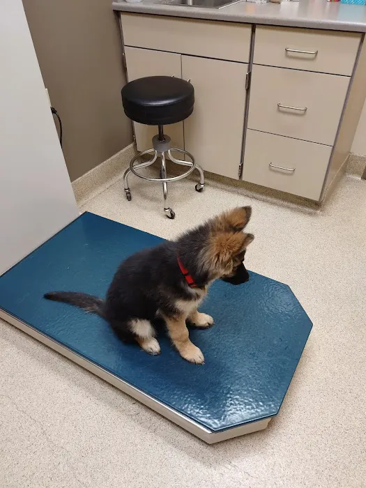 Northgate Animal Hospital 2