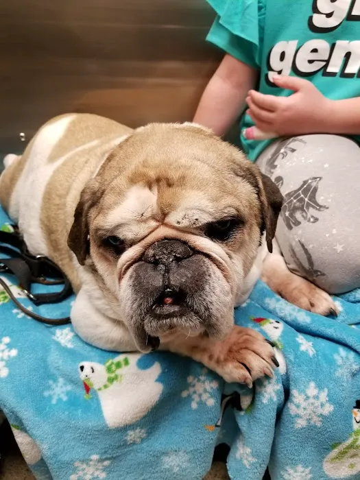 Northgate Animal Hospital 5