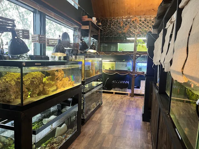 Fish'in Deñ 12