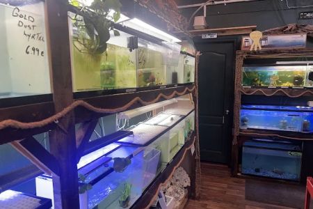 Fish'in Deñ