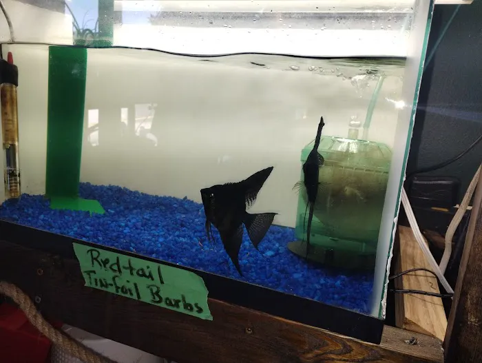 Fish'in Deñ 12