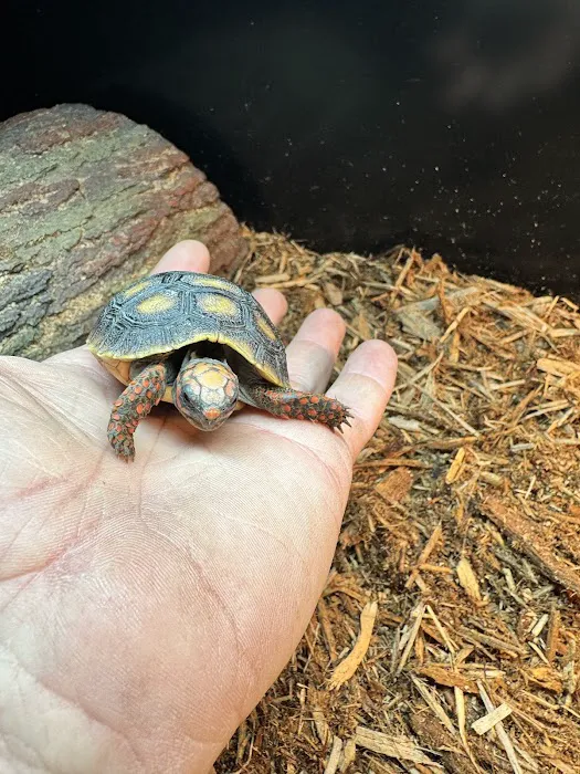 Smoky Mountain Exotic Pets 12