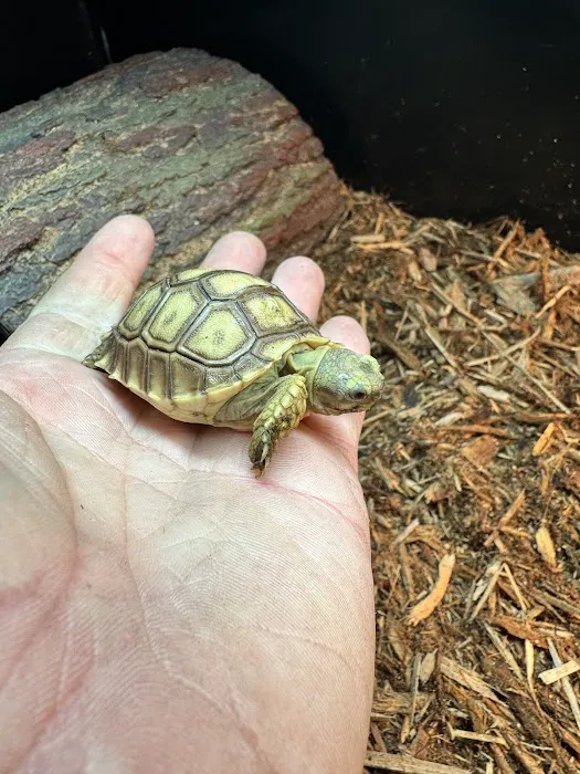 Smoky Mountain Exotic Pets 12