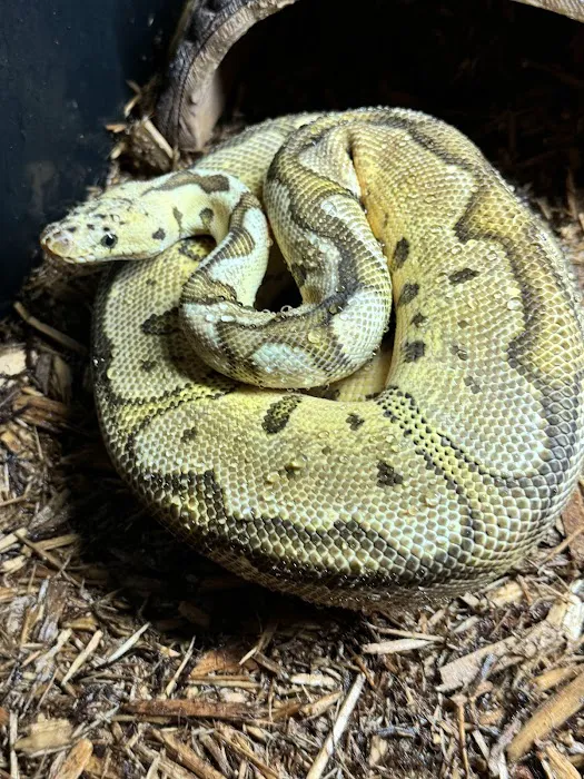 Smoky Mountain Exotic Pets 12