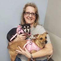 Dixie Veterinary Clinic ico