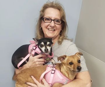 Dixie Veterinary Clinic