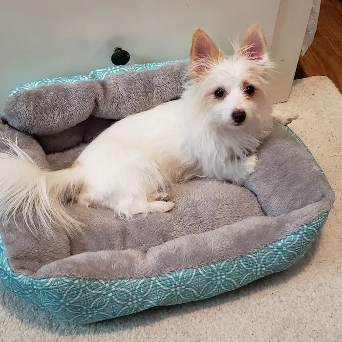 Dixie Veterinary Clinic 12