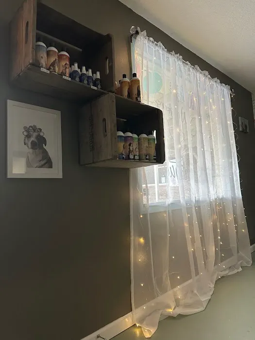 Woofs & Whiskers Boutique 12