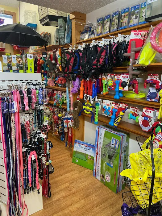 Pet Time Pet Store 12