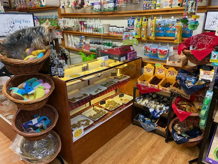 Pet Time Pet Store 12