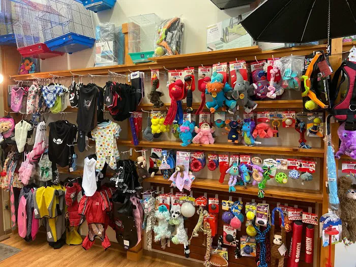 Pet Time Pet Store 12