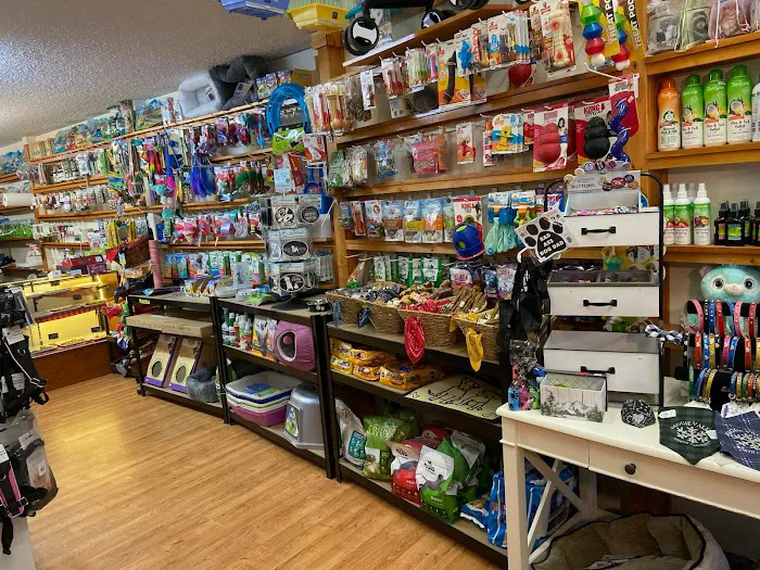 Pet Time Pet Store 12