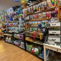 Pet Time Pet Store ico