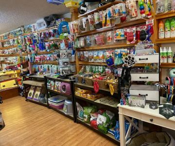 Pet Time Pet Store