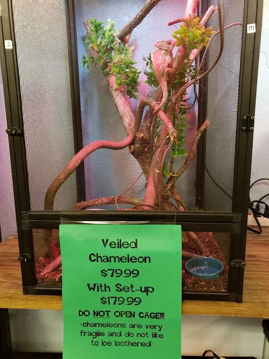 Fish & More Pet Store 2