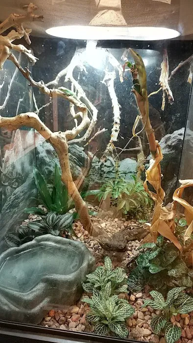Fish & More Pet Store 8