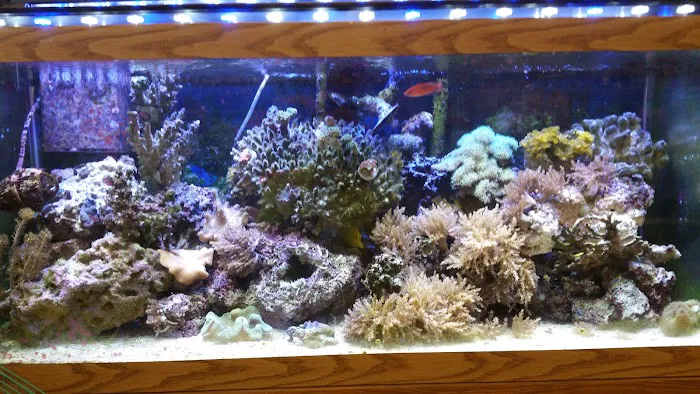Fish & More Pet Store 9