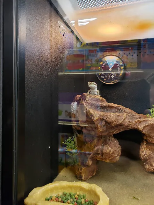 Fish & More Pet Store 3