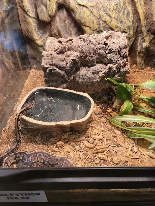 Fish & More Pet Store 5