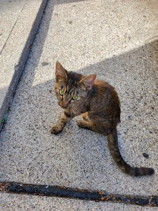 Middletown Animal Hospital 12