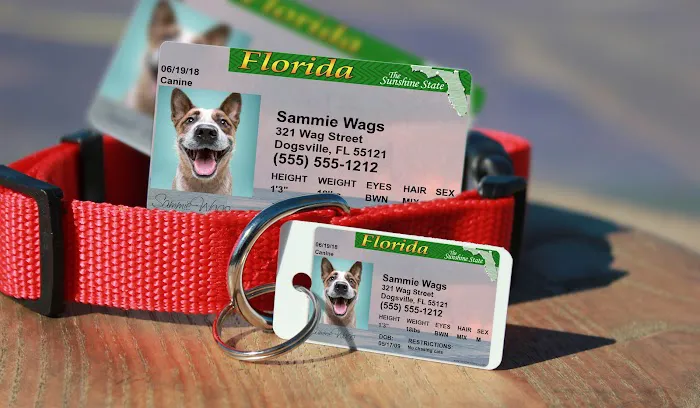 MyPetDMV - Pet Drivers License ID Tags 12
