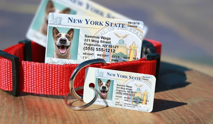 MyPetDMV - Pet Drivers License ID Tags 12