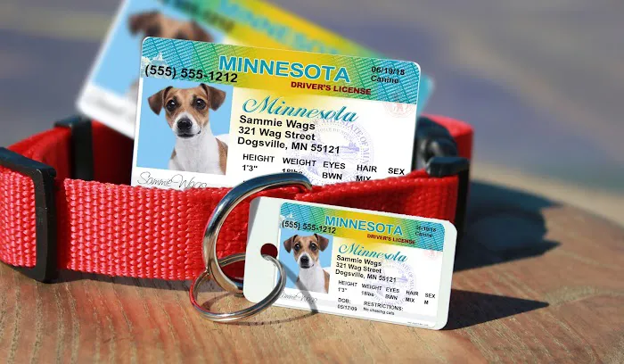 MyPetDMV - Pet Drivers License ID Tags 12
