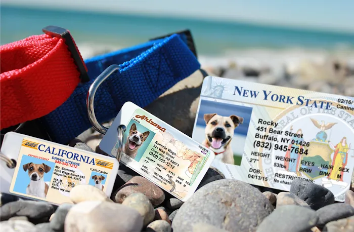 MyPetDMV - Pet Drivers License ID Tags 12