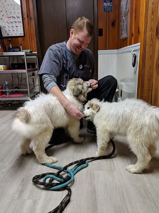 Caesar Creek Animal Clinic 12